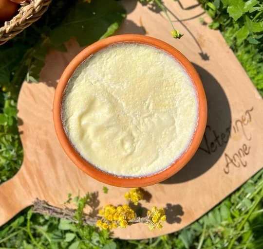 Kayseri Manda Yoğurdu Satışı